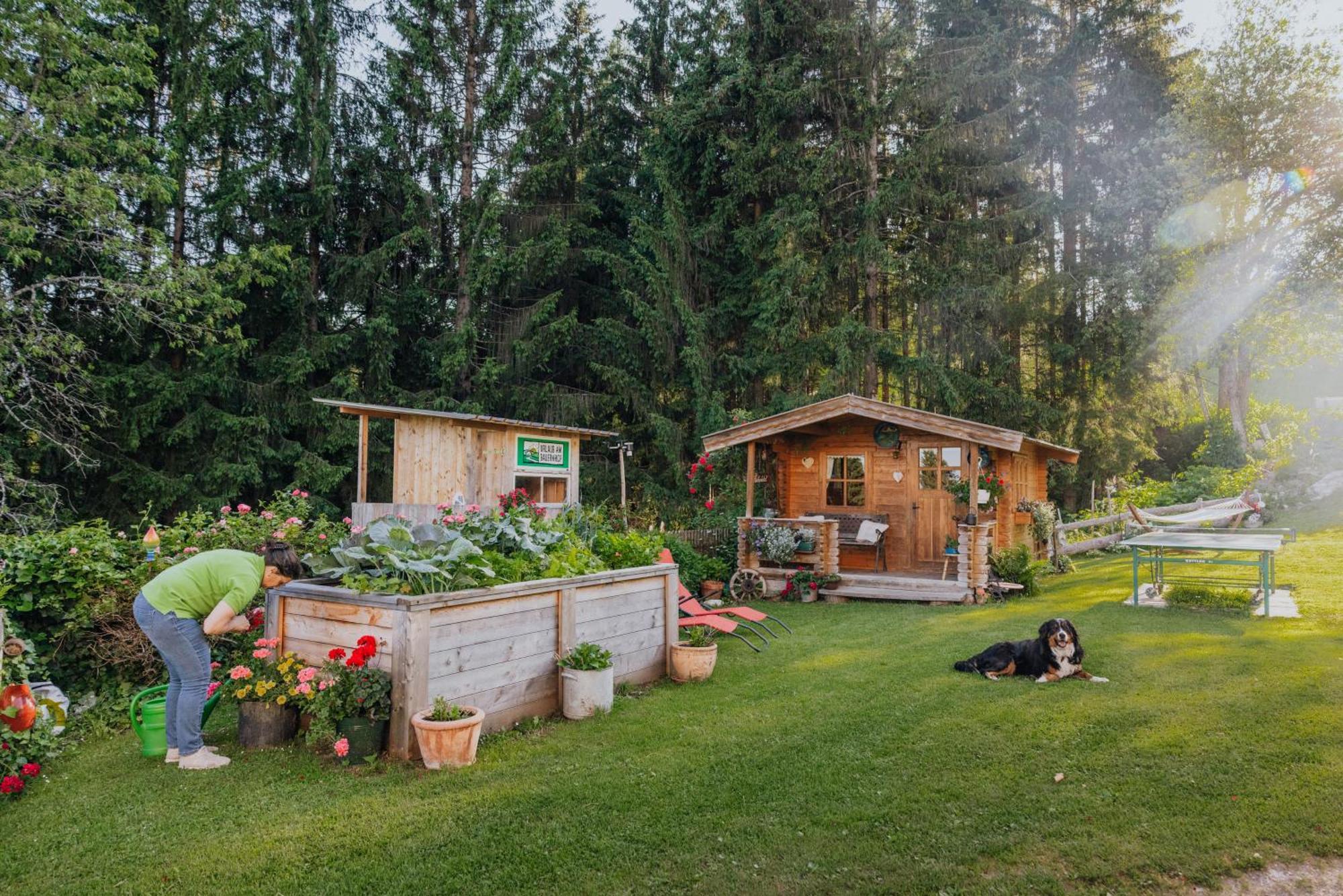 Bio-Bergbauernhof Weger Dellach (Hermagor) Exterior foto